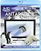 Antarctica Dreaming - Wildlife On Ice