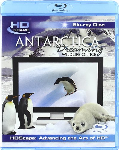 Antarctica Dreaming - Wildlife On Ice