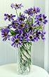 Artifical Flora - Lavender Flower 6pcs