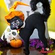 12" Scaredy Cat By Annalee 12" Scaredy Cat By Annalee