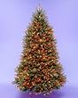 12' Dunhill Fir Pre-Lit Artificial Christmas Tree - Multi Lights