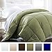 IENJOY HOME Hotel Collection 1500 Series - Lightweight - Luxury Goose Down Alternative Comforter - Hotel Quality Comforter and Hypoallergenic - Full/Queen - Sage