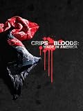 Crips and Bloods: Made in America