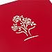 Magideal 3D Pop Up Invite Greeting Card Valentine Wedding Birthday Cornucopia Red RS.190.00