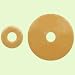 Search : Hollister Adapt Barrier Rings