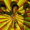 Image of Animal Collective