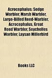 Acrocephalus: Sedge Warbler, Marsh Warbler, Large-Billed Reed-Warbler, Acrocephalus, Great Reed Warbler, Seychelles Warbler, Laysan Millerbird