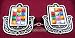 Protection Hand Tallit (Jewish Prayer Shawl) Clips