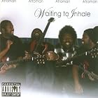 Waiting to Inhale by  Afroman 