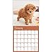 TF Publishing Puppies Office 2017 Wall Calendar (17-1011)
