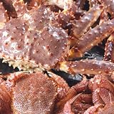【かなはし水産】【訳あり】タラバ・毛ガニカーニバルセット3.5Kg