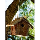 Solid Wood Natural Hanging Bird House with Perch