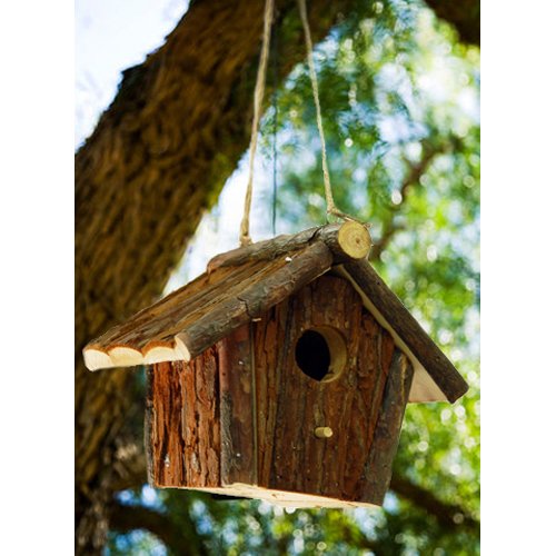 FEED - Solid Wood Natural Hanging Bird House with Perch