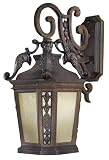 Buckingham 27 3/4 High ENERGY STAR Outdoor Wall Light