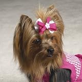 Dog Two- Pack Bow Barrettes - Pink Color