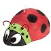 Ladybug 18