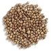 Frontier Coriander Seed Whole, 16 Ounce Bags (Pack of 3)