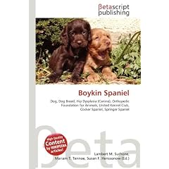 Boykin Spaniel