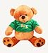 SOFT TOY - Teddy Bear Bo [This charming cub bear very much resembles Winnie the Pooh....