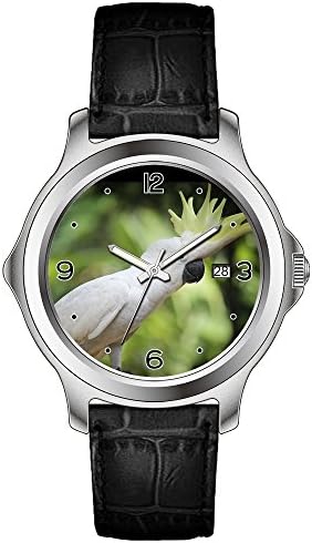 lvlp Men's Sentry 42mm Stainless Steel Leather Quartz Movement Watch &amp;292