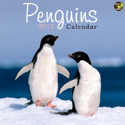2012 Penguins Mini Calendar
