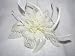 Cream Chiffon flower & feather Fascinator Perfect for Wedding, Races or Special Event
