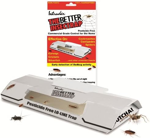 Intruder 21000 The Better Insectrap Pesticide Free - 4 per Traps Package