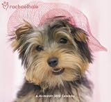 2012 Rachael Hale Dogs Wall Calendar