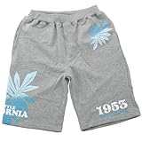 BODY GLOVE [tXEFbgV[c L