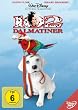 102 Dalmatiner