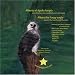 Alberto el aguila harpia - Albert the Harpy Eagle