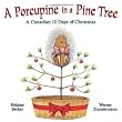A Porcupine in a Pine Tree