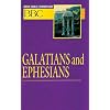 Basic Bible Commentary Volume 24 Galatians and Ephesians (Abingdon Basic Bible Commentary)