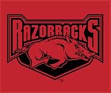 Arkansas Razorbacks College Collection Blanket