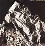 Rogue Wave - Asleep at Heaven s Gate