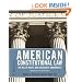 American Constitutional Law, Eighth Edition, Volume 2: The Bill of Rights and Subsequent Amendments (American Constitutional Law: The Bill of Rights & Subsequent Amendments (V2))