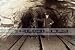 1911 PENNSYLVANIA COAL MINING CHILD LABOR MULE [16 x 24 Photograph]