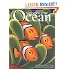 Somewhere in the Ocean