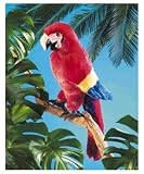 Folkmanis Scarlet Macaw Puppet