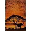 Large 35x23 Endangered Animal Elephant Poster Africa Skies Poster Print, 24x36
