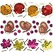 Thanksgiving Foil Paper Value Pack Confetti Mix of 3 Styles