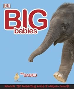Big Babies, Little Babies DK Publishing