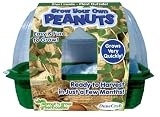  : DuneCraft Sprout 'n Grow Greenhouses - Peanuts