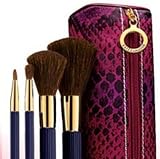 Estee Lauder Makeup Brush Set - Face, Blush, Eye Shadow...