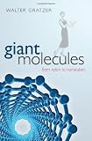 Giant Molecules: From Nylon to Nanotubes