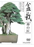 �~��[�_�̏�] [DVD]