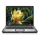 HP Pavilion DV6405US 15.4 Laptop (AMD Athlon 64 Processor TK-53, 1 GB RAM, 120 GB Hard Drive, Vista Premium)