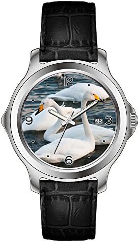 lvlp Men's Sentry 42mm Stainless Steel Leather Quartz Movement Watch &amp;287