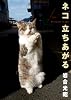 ネコ 立ちあがる―ニッポンの猫写真集