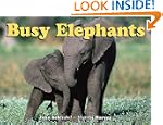 Busy Elephants